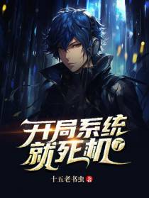 开局系统就死机了