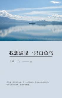我想遇见一只白色鸟