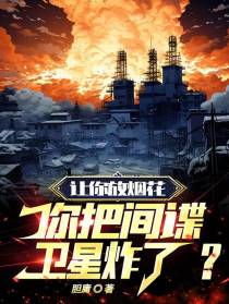 让你放烟花,你把间谍卫星炸了？
