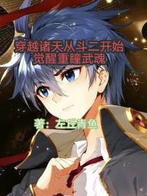 穿越诸天从斗二开始觉醒重瞳武魂