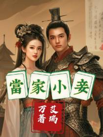 当家小妾