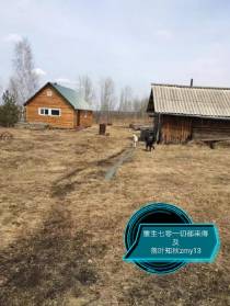 重生七零一切都来得及