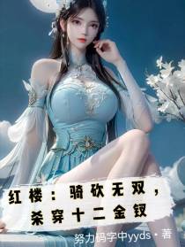 红楼：骑砍无双,杀穿十二金钗