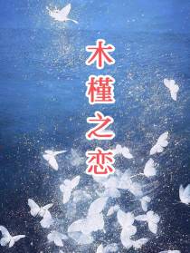 木槿之恋