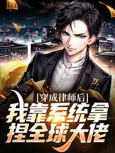穿成律师后，我靠系统拿捏全球大佬