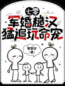 七零：军婚糙汉猛追玩命宠