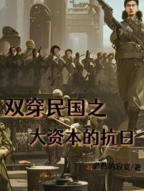 双穿民国之大资本的抗日