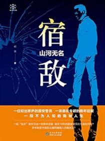 宿敌山河无名