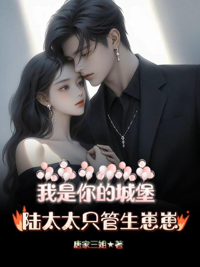 我是你的城堡,陆太太只管生崽崽
