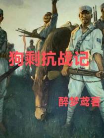 狗剩抗战记