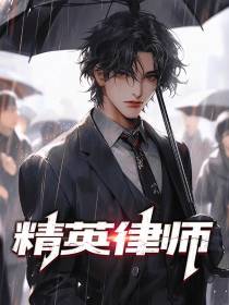 精英律师