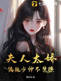 夫人太娇,偏执少帅不禁撩