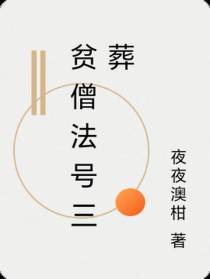 贫僧法号三葬