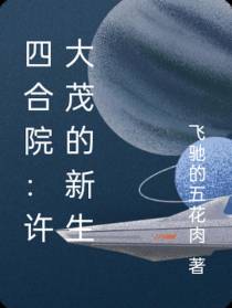 四合院：许大茂的新生