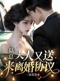 陆总,夫人又送来离婚协议