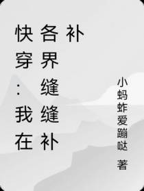 快穿：我在各界缝缝补补