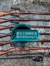 重生后硝烟弥漫