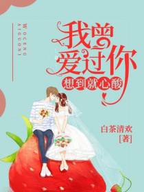 我曾爱过你,想到就心酸