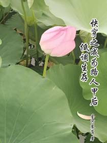 快穿之成为路人甲后低调生存