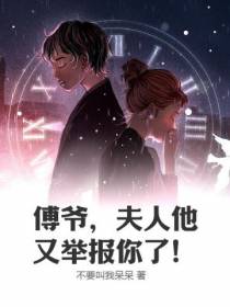 傅爷,夫人他又举报你了！