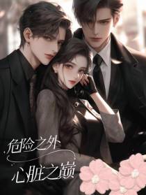 危险之外,心脏之巅