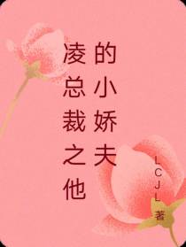 凌总裁之他的小娇夫
