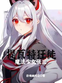 提瓦特狂徒：魔法少女张三