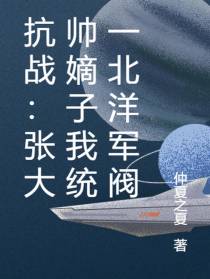 抗战：张大帅嫡子我统一北洋军阀
