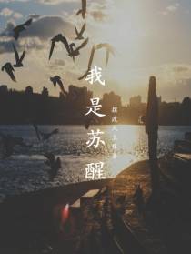 我是苏醒