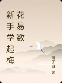 新手学起梅花易数