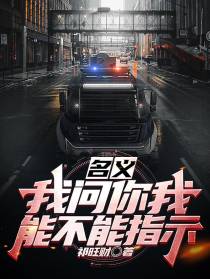 名义：我问你我能不能指示