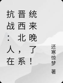 抗战：人在晋西北，系统来晚了！