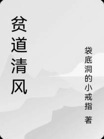 贫道清风