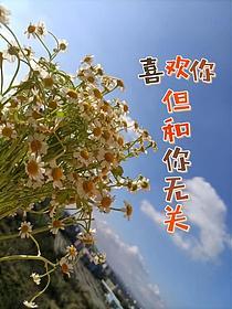 喜欢你,但和你无关