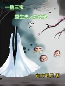 一胎三宝,夫人是大佬
