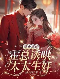 禁止离婚,霍总诱哄太太生娃