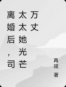 离婚后,司太太她光芒万丈