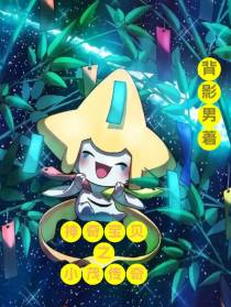 神奇宝贝之小茂传奇