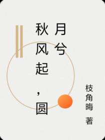 秋风起,圆月兮