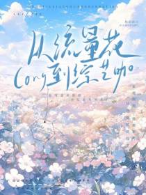 从流量花到综艺咖