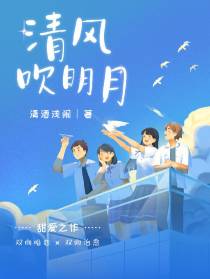 清风吹明月