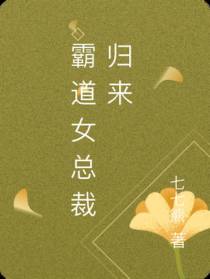 霸道女总裁归来