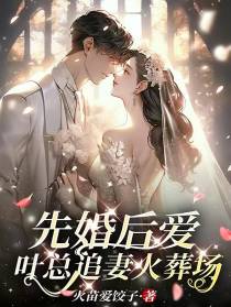 先婚后爱：叶总追妻火葬场