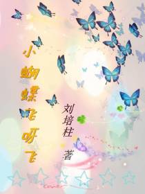 小蝴蝶飞呀飞