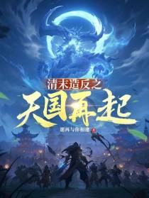 清末造反之天国再起