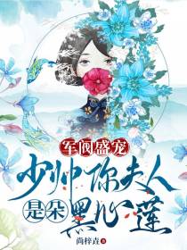 军阀盛宠：少帅你夫人是朵黑心莲