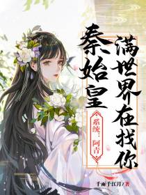 系统：阿青，秦始皇满世界在找你