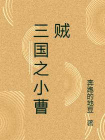 三国之小曹贼