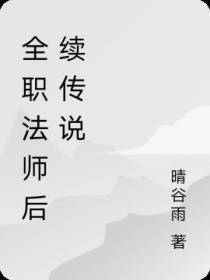 全职法师后续传说