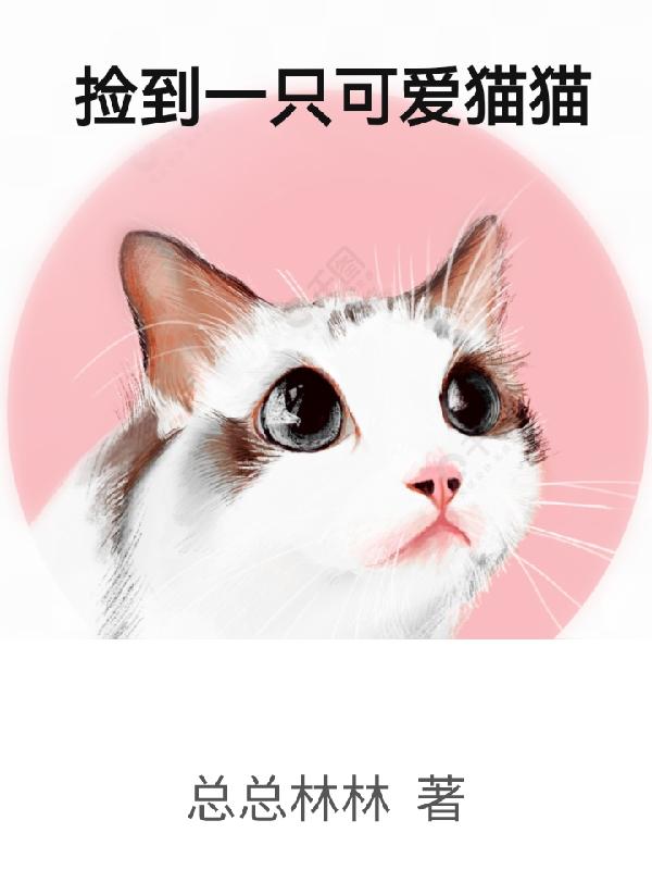 捡到一只可爱猫猫